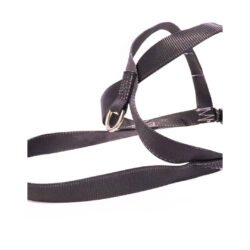 Sprinter Harness
