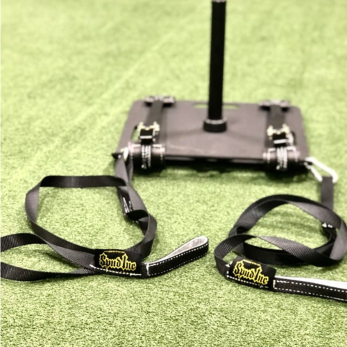 Sled Strap (2 point attachment)